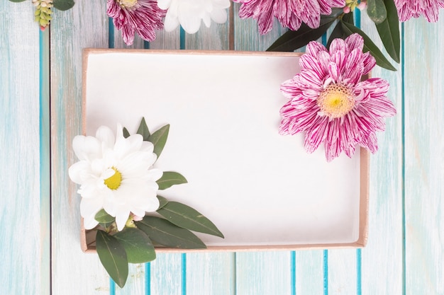 Ein leerer Kasten mit Gänseblümchen- und Chrysanthemenblumen