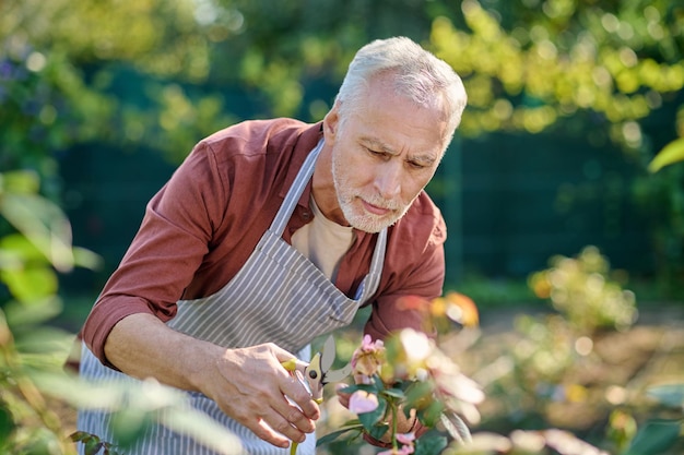 Kostenloses Foto ein mann, der bei der gartenarbeit beschäftigt aussieht