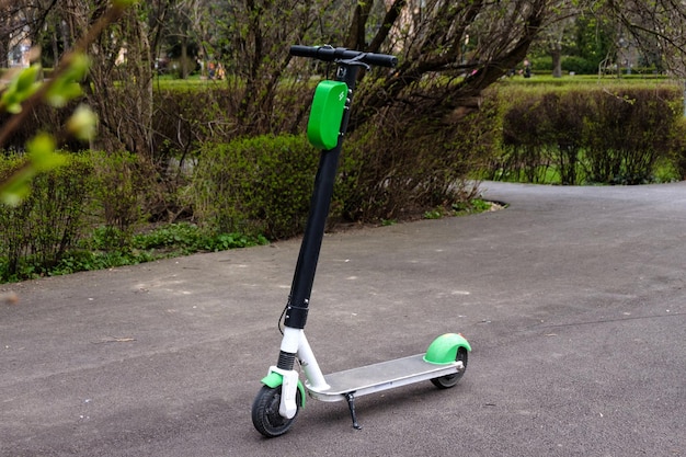 Ein öko-grüner und schwarzer Elektro-Scooter mit grüner Energie im Park, der neben einer blühenden Magnolie steht