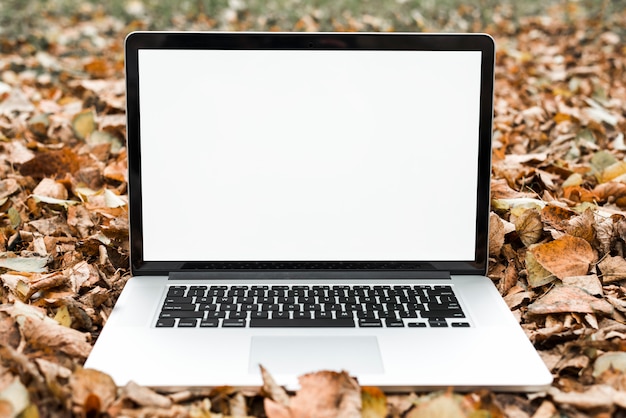Ein offener Laptop mit leerem weißem Bildschirm auf trockenen Blättern des Herbstes
