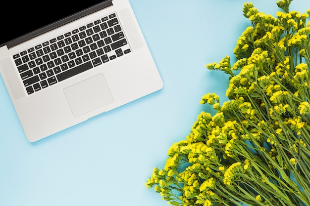 Kostenloses Foto ein offener laptop und gelbe blumen auf blauem hintergrund