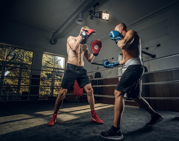 Ein paar junge Boxer haben einen Wettbewerb am Ring im Kampfstudio.