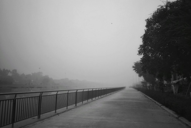 Ein Parkweg mit Nebel bedeckt
