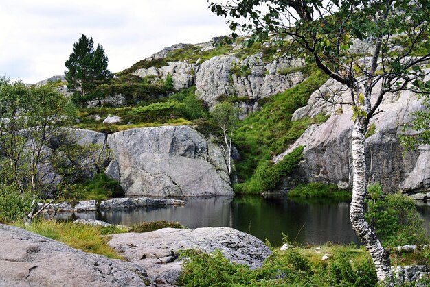 Ein See mit dem Spiegelbild von Bäumen, umgeben von Felsformationen in Preikestolen, Norwegen