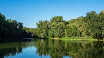 Kostenloses Foto ein see mit vielen grünen bäumen, die sich im wasser in chisinau, moldawien spiegeln