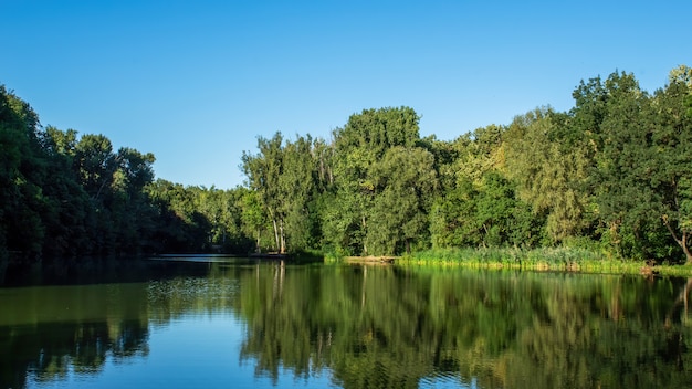 Ein See mit vielen grünen Bäumen, die sich im Wasser in Chisinau, Moldawien spiegeln