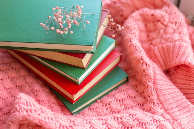 Ein Stapel roter und grüner Bücher mit trockenen Blumen auf einem rosa warmen Strickpullover