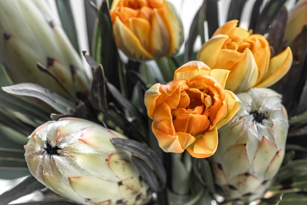 Ein Strauß exotischer Blumen aus königlichem Protea und leuchtenden Tulpen. Tropische Pflanzen in floristischer Zusammensetzung.