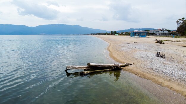 Ein toter Baumstamm an einem Strand, Ägäische Seeküste, Gebäude und Hügel, Asprovalta, Griechenland