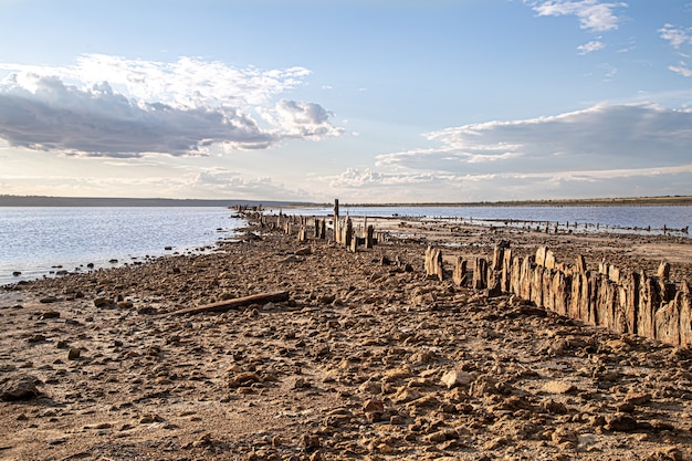 Ein toter See und alte Salzscheite gucken aus dem Wasser
