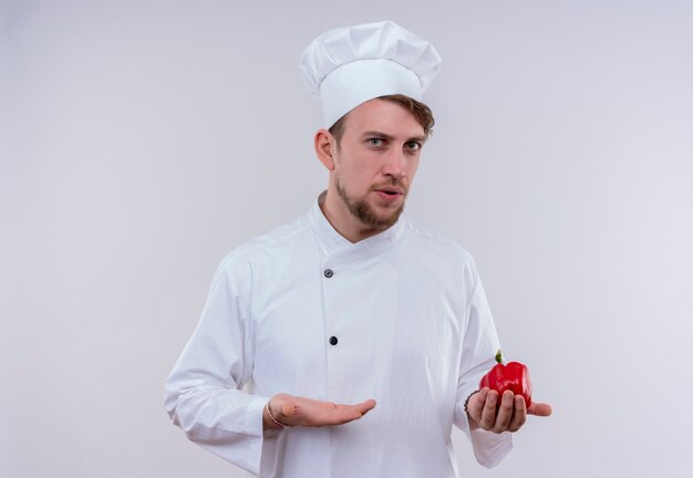 Ein verwirrter junger bärtiger Kochmann, der weiße Kochuniform und Hut hält, die roten Paprika halten, während auf einer weißen Wand schauen