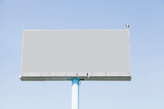 Kostenloses Foto ein vogel, der auf leerer anschlagtafel für anzeige gegen blauen himmel hockt