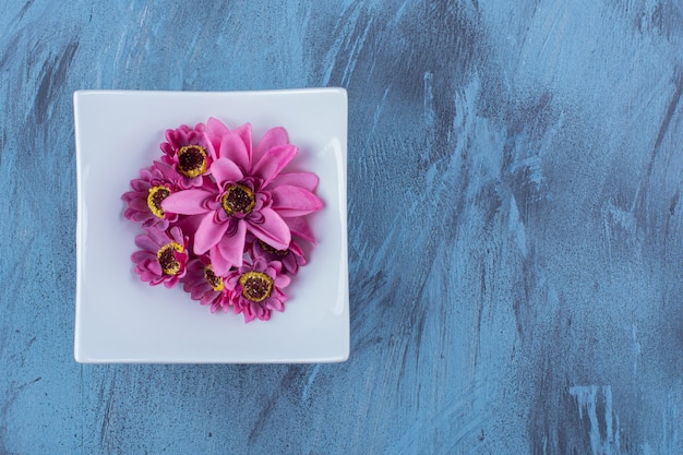 Kostenloses Foto ein weißer teller mit lila blume auf blau.