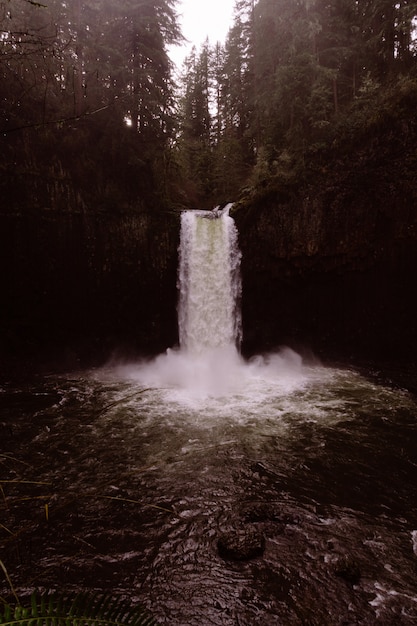 Ein wunderschöner Wasserfall in einem dichten Wald