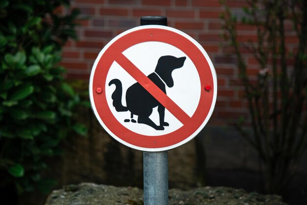 Ein Zeichen kein Hundehaufen-Konzept, das Hundekot aufräumt