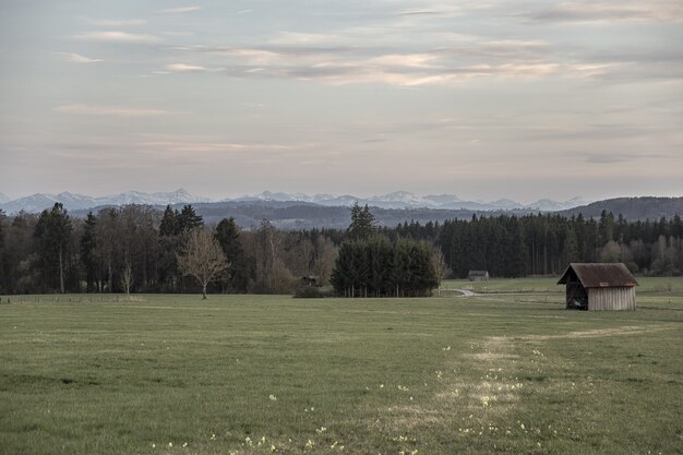 Eine braune Holzhütte mitten auf einer Wiese, umgeben von Bäumen unter einem rosafarbenen Himmel