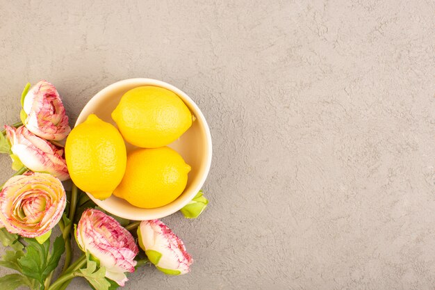 Eine Draufsicht frische Zitronen sauer reif ganze milde Zitrus tropisches Vitamin gelb zusammen mit getrockneten Blumen auf dem cremefarbenen Schreibtisch