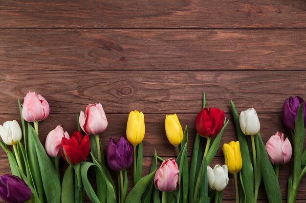 Eine Draufsicht von bunten Tulpen auf hölzernen Betriebsoberflächenhintergrund