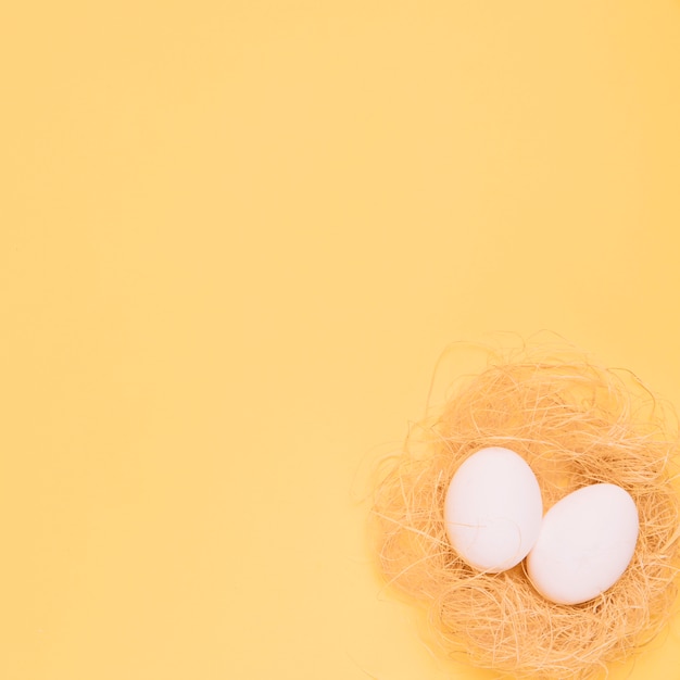 Eine Draufsicht von zwei weißen Eiern im Nest an der Ecke des gelben Hintergrunds