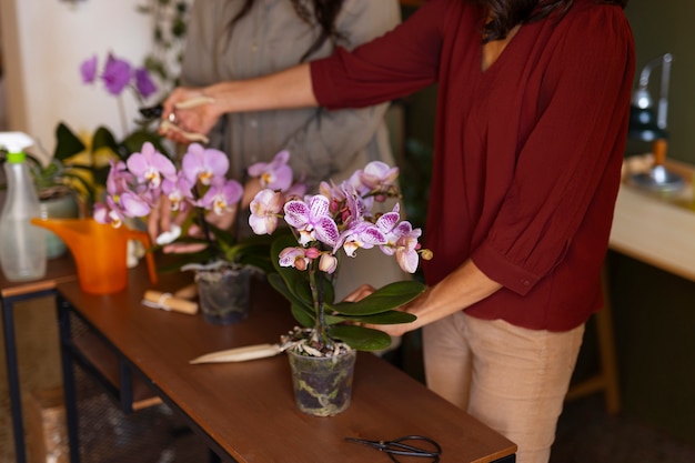 Eine Frau schmückt ihr Haus mit Orchideen