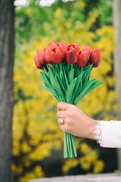 Eine Frauenhand, die einen Blumenstrauß von roten Tulpen hält.