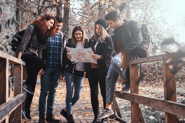 Eine Gruppe von Freunden hat einen schönen Ausflug im Golden Leaf Park im Herbst, sie benutzen eine Karte, um zu versuchen zu verstehen, wo sie sind.