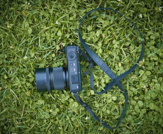 Eine Kamera auf dem Rasen