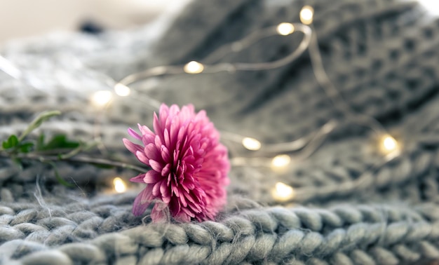 Eine kleine rosa Blume auf einer gestrickten Elementnahaufnahme