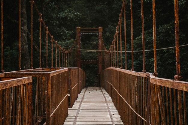 Eine lange Baldachinbrücke in einem Wald