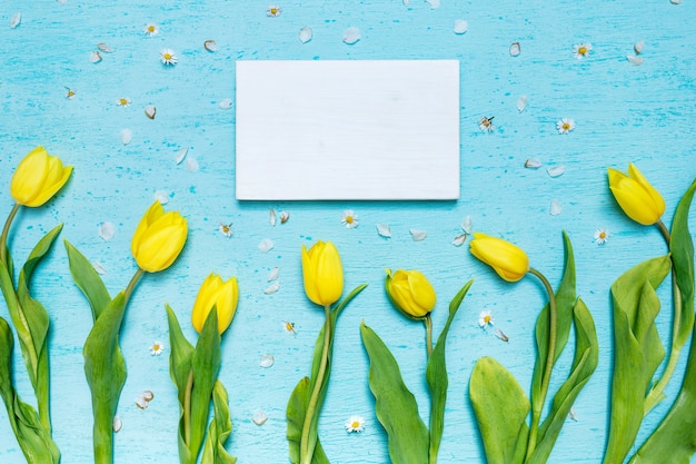 eine leere Grußkarte und gelbe Tulpen auf einer blauen Oberfläche mit winzigen Gänseblümchenblumen