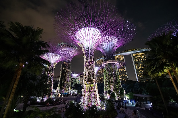 Eine Nachtansicht des Supertrees Grove, Cloud Forest Flower Dome in den Gärten an der Bucht