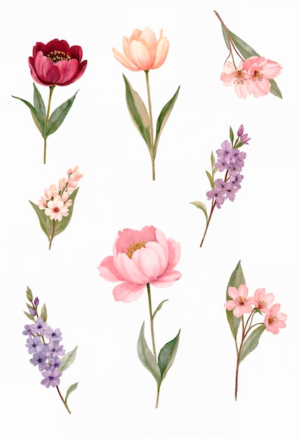 Eine Sammlung von Blumen aus dem Frühling.