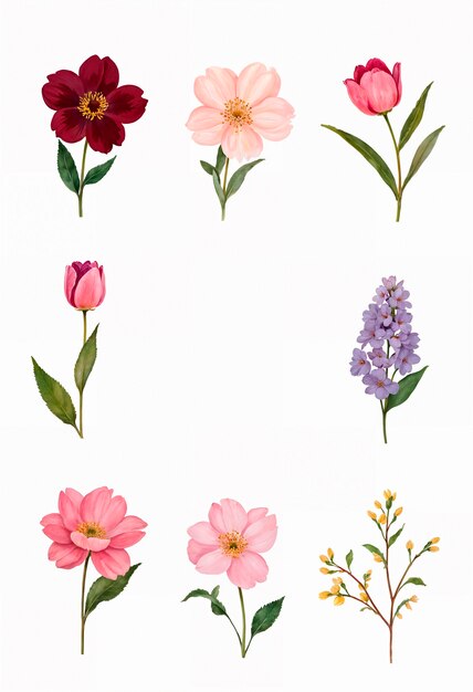 Eine Sammlung von Blumen, darunter eine der Blumen.