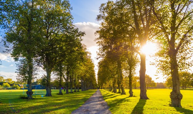 Eine schmale Straße, umgeben von grünen Bäumen in Windsor, England