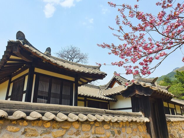 Eine schöne Aufnahme von Gebäuden im japanischen Stil unter blauem Himmel