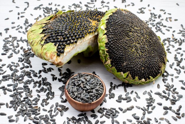 Eine Vorderansicht schwarze Sonnenblumenkerne frisch und lecker im Inneren Muschelkorn Sonnenblumenkerne Snack