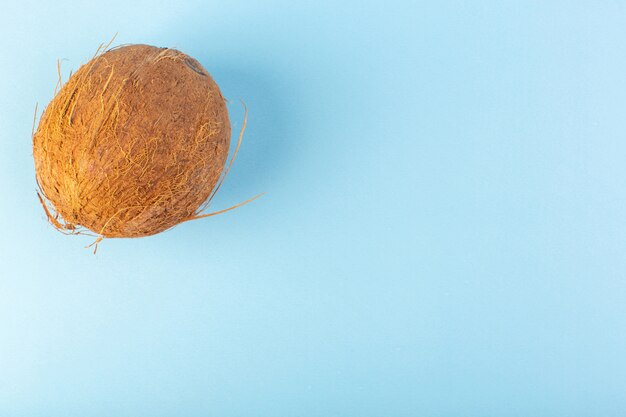 Eine vordere geschlossene Ansicht Kokosnüsse ganz milchig frisch weich isoliert auf dem tropischen exotischen Fruchtnuss des eisblauen Hintergrunds