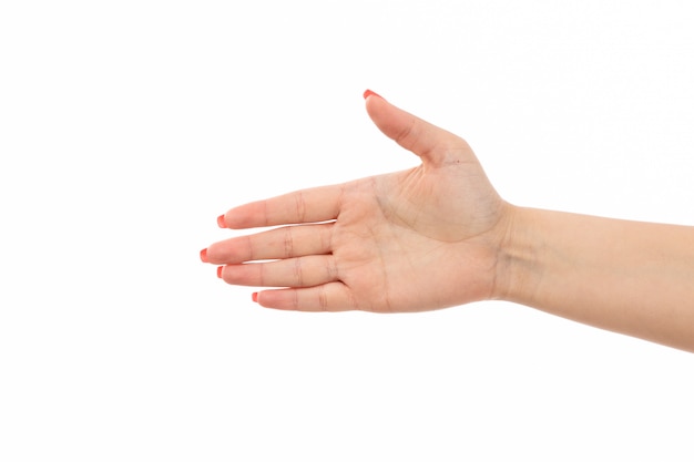 Eine weibliche Hand der Vorderansicht mit farbigem Nagelhandschlag auf dem Weiß