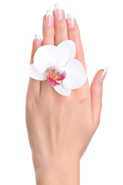 Eine weibliche Hand mit Blume
