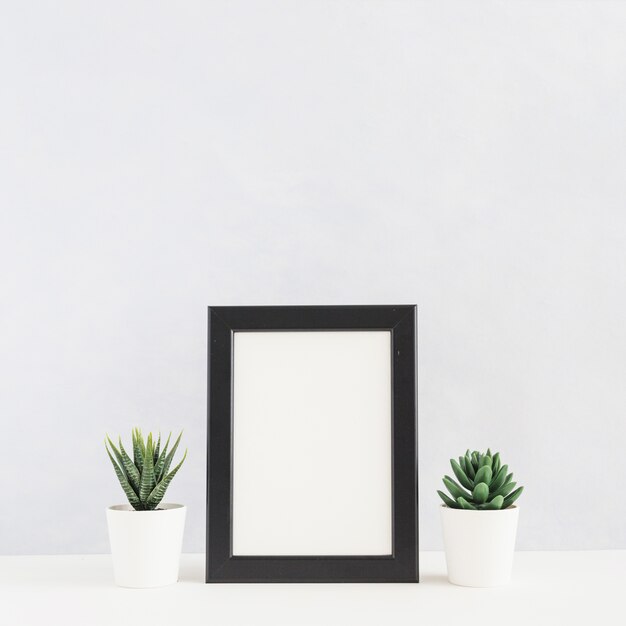 Eingemachte Kaktuspflanze zwischen dem Bilderrahmen auf Schreibtisch gegen weißen Hintergrund
