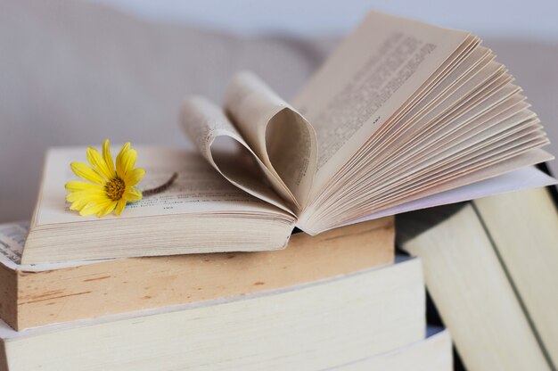 Einige Bücher und Blumen