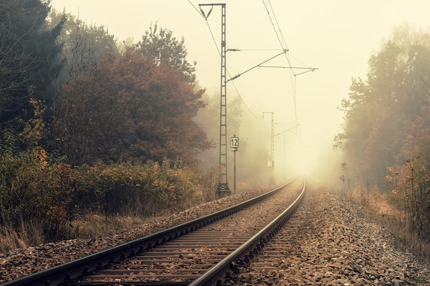 Eisenbahn auf dem Wald