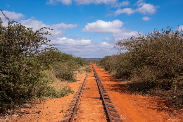 Eisenbahn, die durch die Bäume unter dem schönen blauen Himmel in Tsavo West, Taita Hügel, Kenia geht