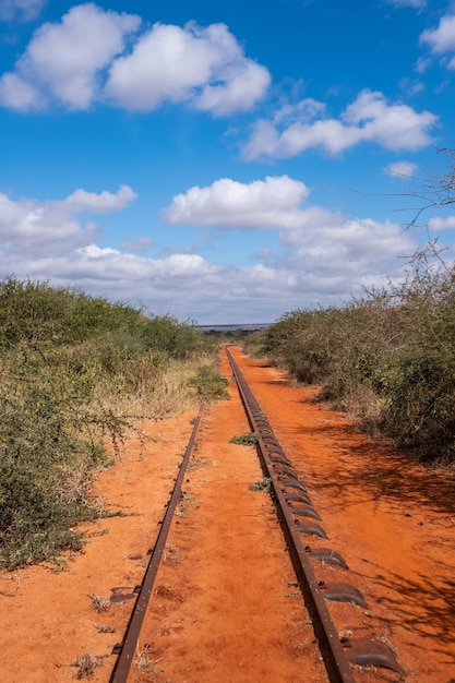 Kostenloses Foto eisenbahn umgeben von bäumen unter dem blauen himmel in tsavo west, taita hügel, kenia