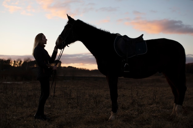Kostenloses Foto elegante pferdesilhouette gegen morgenhimmel