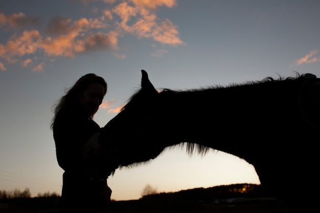 Kostenloses Foto elegante pferdesilhouette gegen morgenhimmel