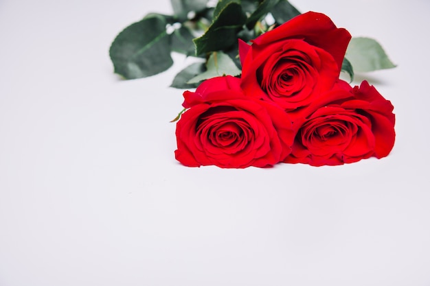 Eleganter Hintergrund mit Rosen