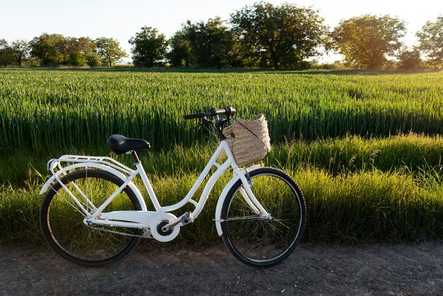 Elegantes Fahrrad in der Natur