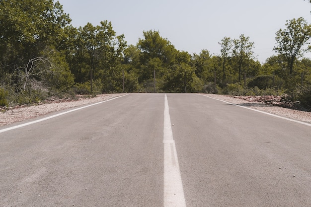 Ende einer Asphaltstraße, umgeben von Grüns und Bäumen