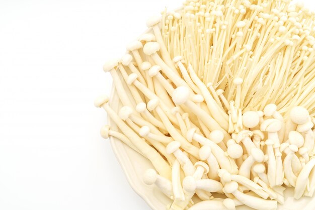 Enoki und Buchenpilze auf dem weißen Hintergrund.